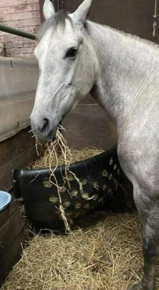 Haybar / slowfeeder / hooinet / hooibak  300 l, Dieren en Toebehoren, Paarden en Pony's | Overige Paardenspullen, Ophalen of Verzenden