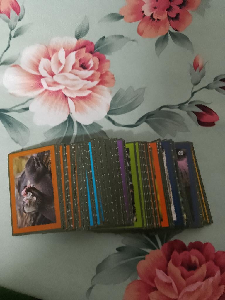 verschillende artis stickers voor het boek, Ophalen of Verzenden, Nieuw, Dier en Natuur