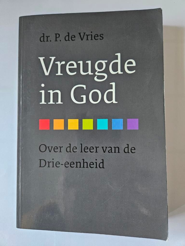 Dr. P. de Vries - Vreugde in God, Boeken, Ophalen of Verzenden, Gelezen, Christendom | Katholiek