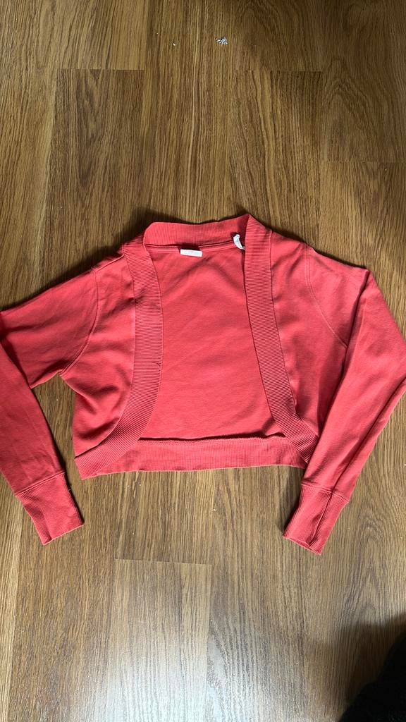 Roze bolero vestje maat M, Kleding | Dames, Ophalen of Verzenden, Gedragen, Maat 38/40 (M), Roze