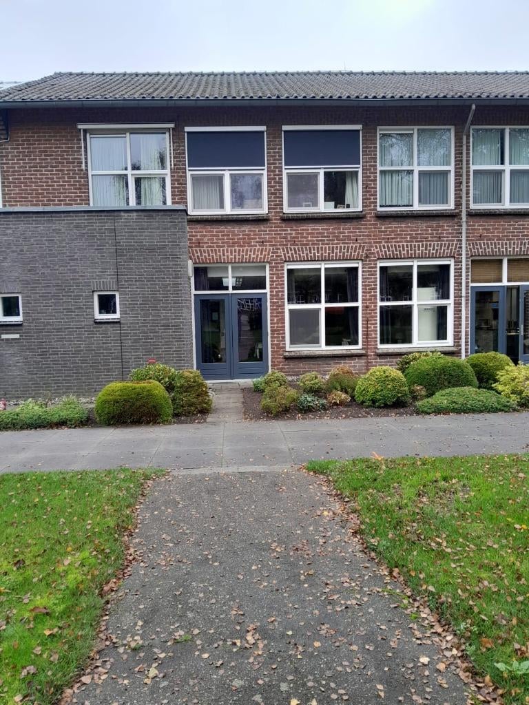 Electrische screens, Ophalen, Gebruikt, Elektrisch, Minder dan 250 cm