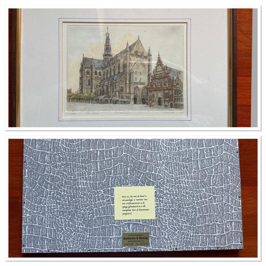 Antieke prenten Haarlem en bloemen, Antiek en Kunst, Kunst | Etsen en Gravures, Ophalen