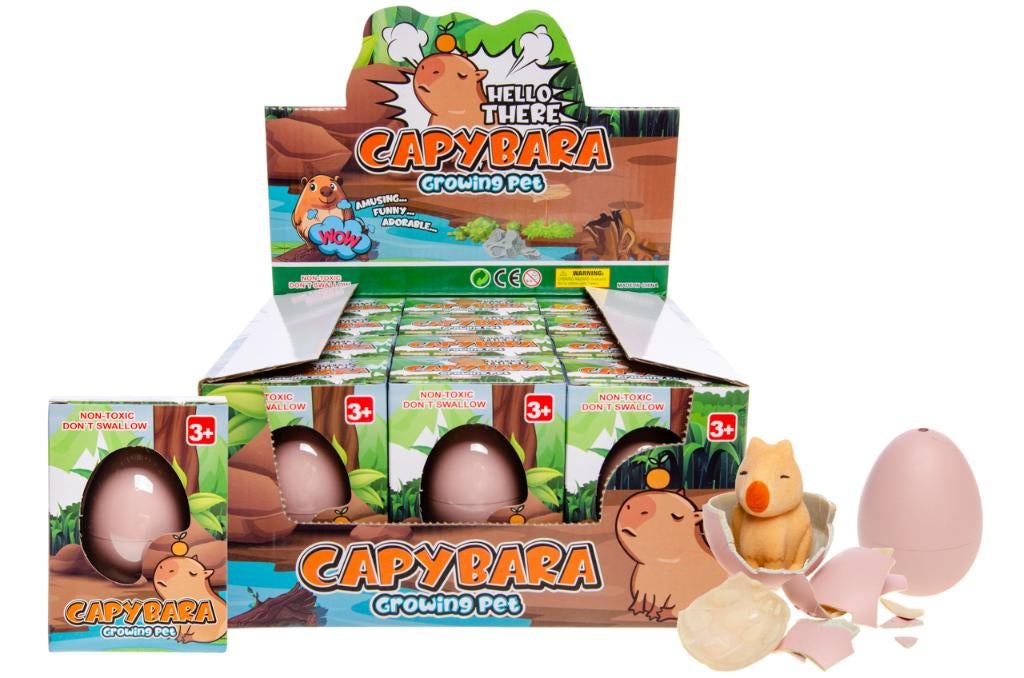 PARTIJ GROWING EGG CAPYBARA, ., Nieuw, Ophalen of Verzenden, .