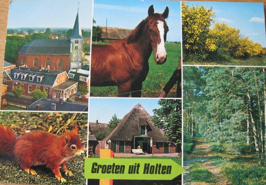 groeten uit Holten - 1978 - paard, Ophalen of Verzenden, 1960 tot 1980, Gelopen, Overijssel