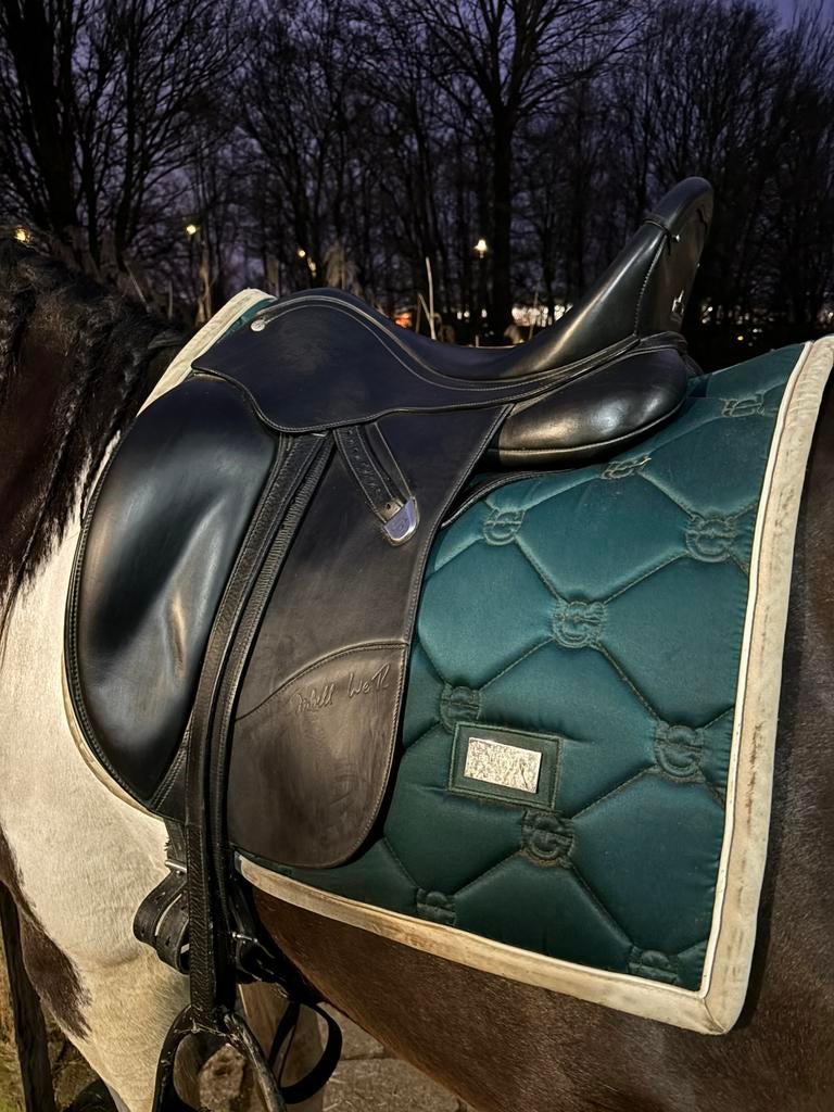 Bates isabell werth dressuur zadel, Dieren en Toebehoren, Paarden en Pony's | Zadels, Ophalen of Verzenden, Zo goed als nieuw