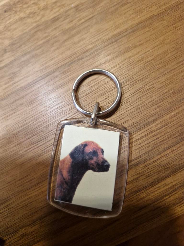 562 Sleutelhanger Hond Rhodesian Ridgeback, Ophalen of Verzenden, Nieuw
