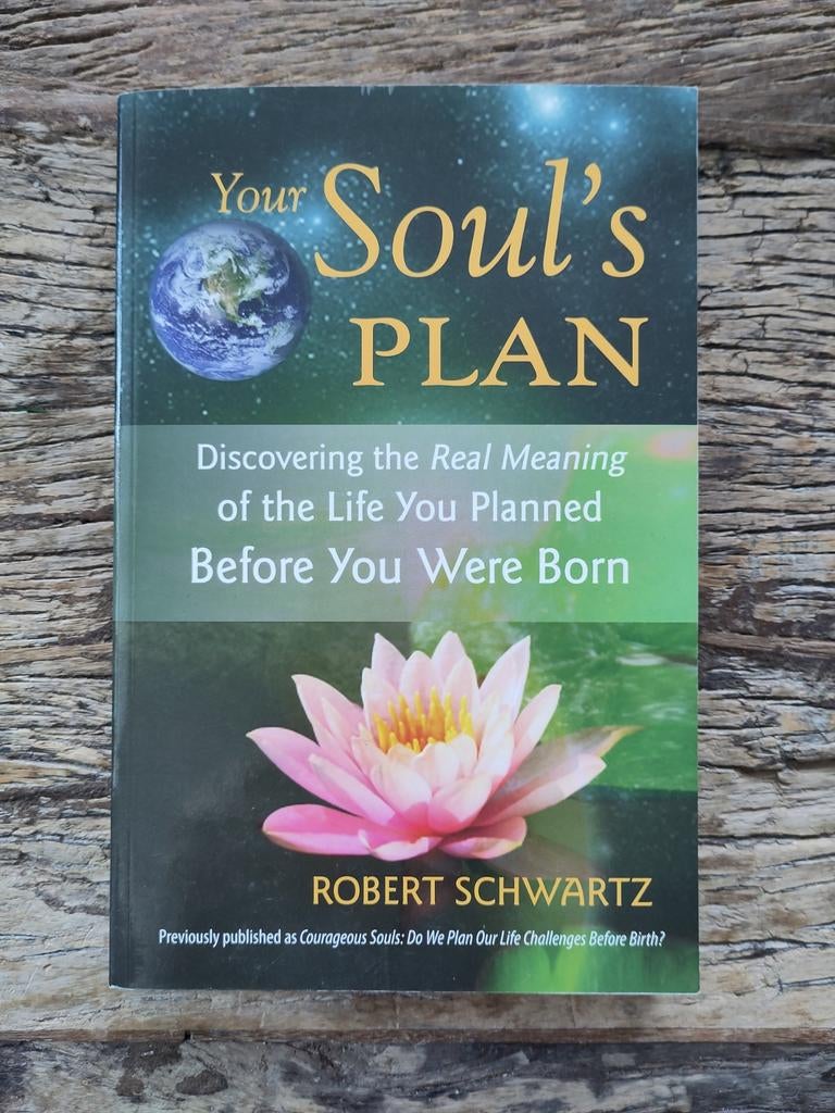 Boek Your Soul's plan - Robert Schwartz, Ophalen of Verzenden, Nieuw, Spiritualiteit algemeen