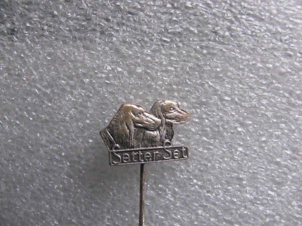 Vintage Speldje - Setter Set / Ierse Setter - PAKO Rhenen, Verzenden, Gebruikt, Dier of Natuur, Speldje of Pin