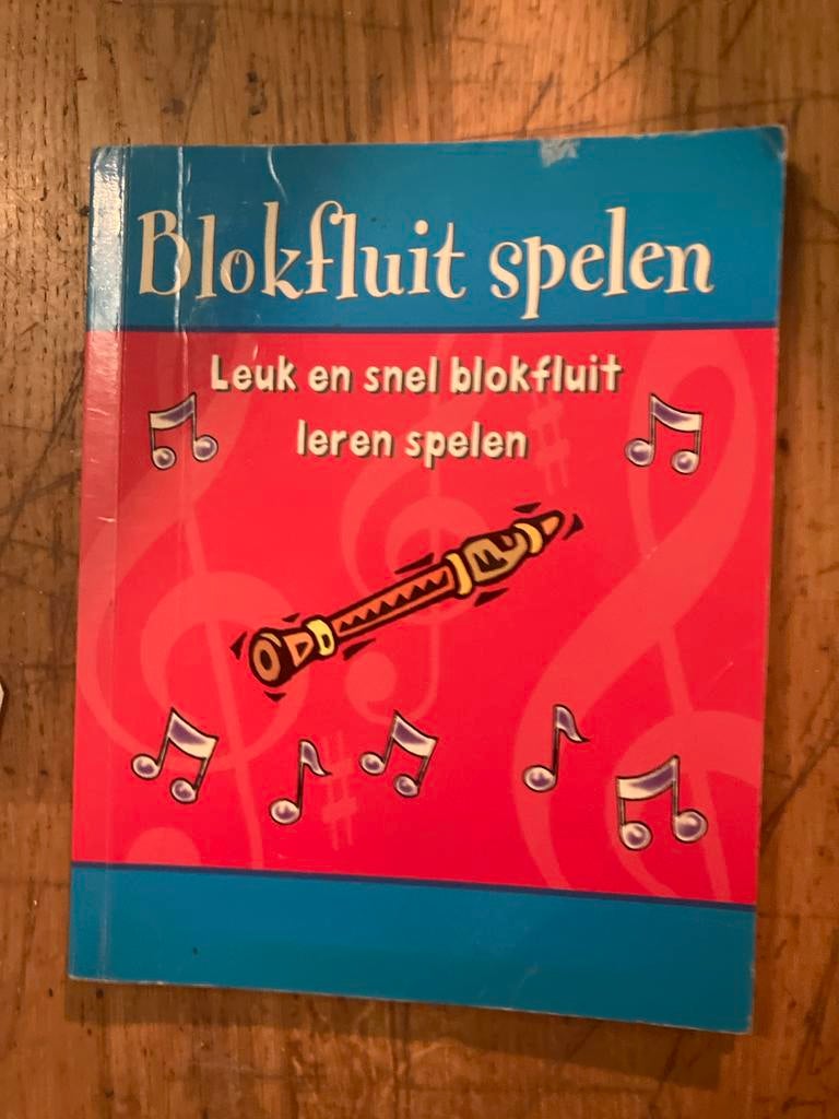Blokfluit leren spelen - Leuk en snel!, Ophalen of Verzenden, Gelezen, Instrument