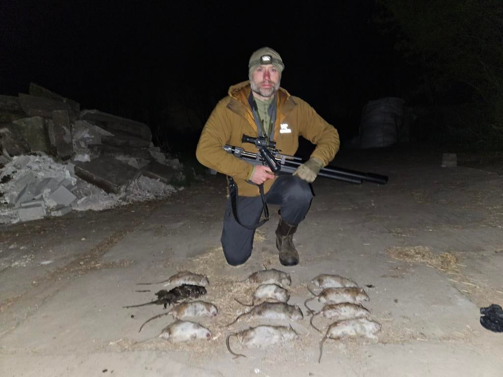 Rattenbestrijding, ratten bestrijding. Snel en discreet.