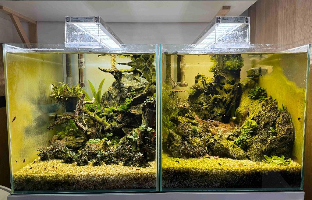 Superfish Aquaria met garnalen, Ophalen, Gebruikt, Gevuld zoetwateraquarium