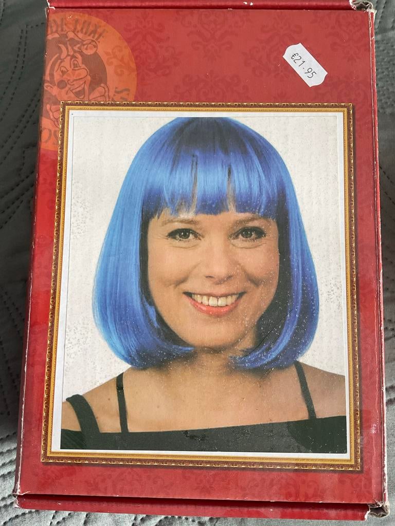 Blauwe Pruik met Accessoires - Carnaval of Cosplay, Ophalen of Verzenden, Gedragen, Carnaval, Accessoires