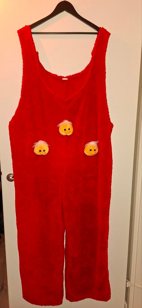 2 Carnavalspakken Eend met Tasje en Pet, Carnaval, Maat 42/44 (L), Ophalen of Verzenden, Zo goed als nieuw