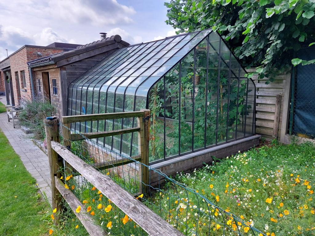 Materialen authentieke Druivenkas, Tuin en Terras, Kassen, Gebruikt, Staal, Glas, Ophalen