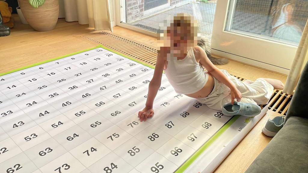 Rekenmat 100-veld, Diversen, Schoolbenodigdheden, Ophalen of Verzenden, Nieuw