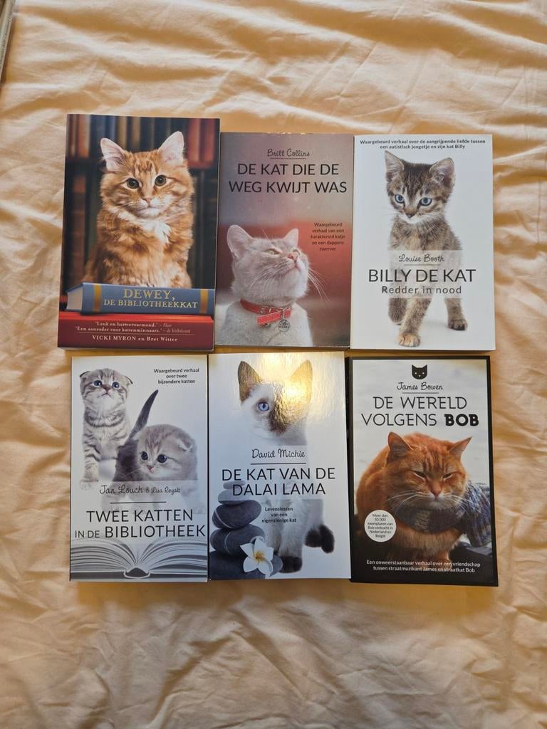 6x katten leesboeken bob billy bibliotheek dalai lama dewey, Ophalen of Verzenden, Gelezen