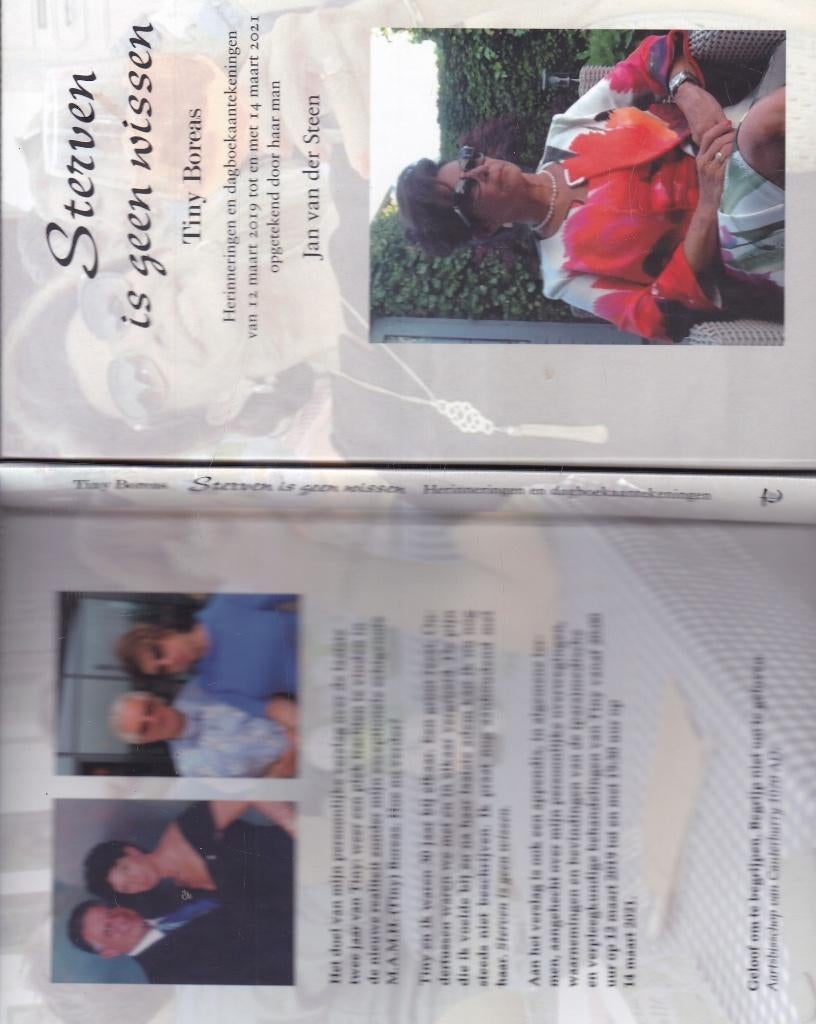 Deurne; J van der Steen; Sterven is geen missen .Tiny Boreas, Ophalen of Verzenden, Zo goed als nieuw