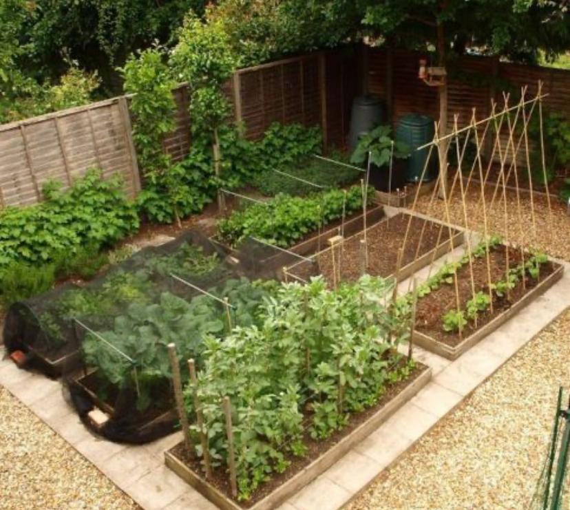 Gezocht Moestuin kavel, Tuin en Terras, Ophalen of Verzenden, Zo goed als nieuw
