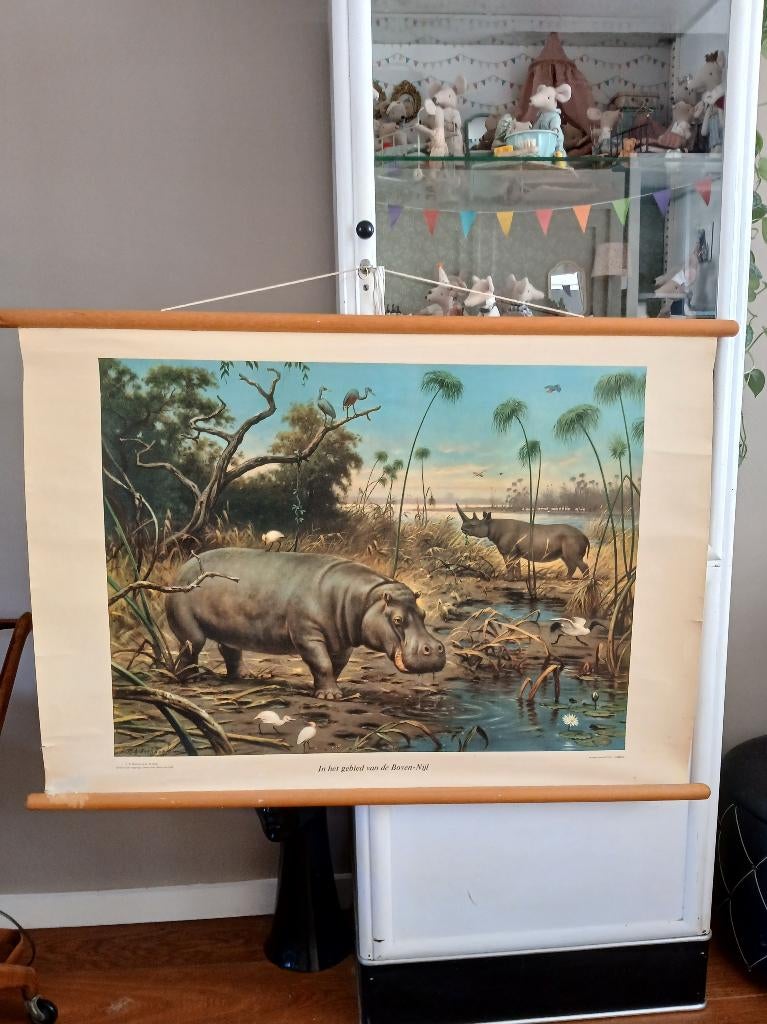 Wolters noordhof Oude schoolplaat, Antiek en Kunst, Antiek | Schoolplaten, Ophalen, Natuur en Biologie