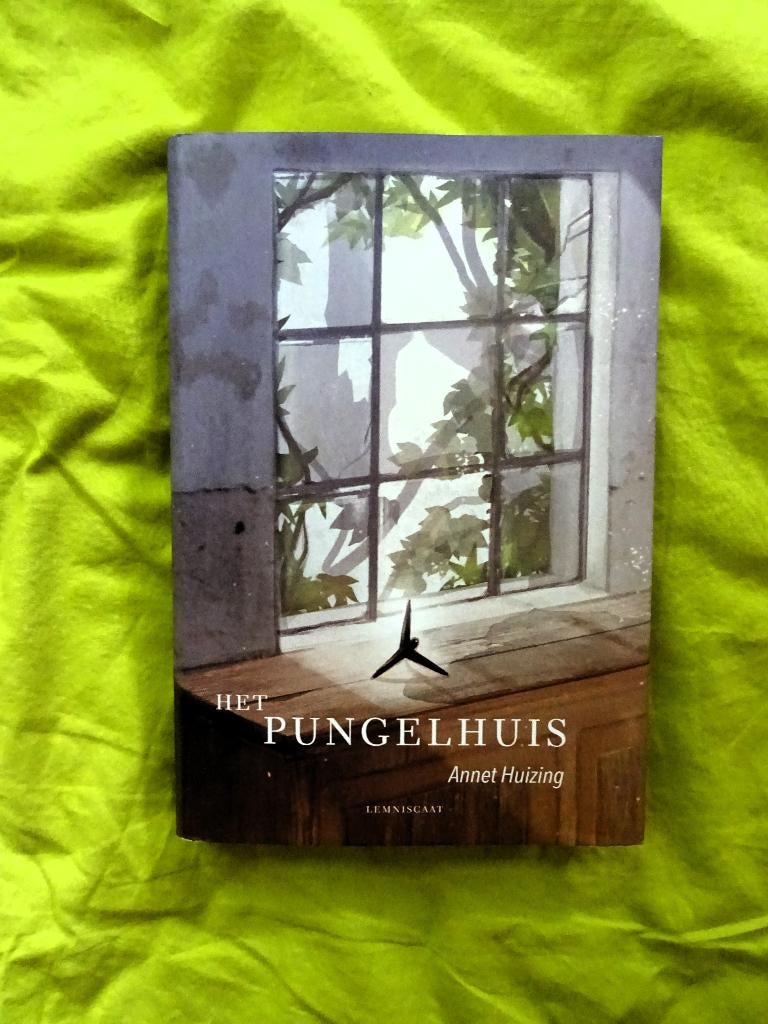 Het Pungelhuis - Annet Huizing, Verzenden, Gelezen