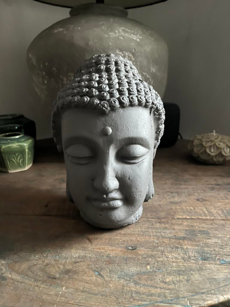 Stoer en sobere Buddha, Ophalen of Verzenden, Zo goed als nieuw