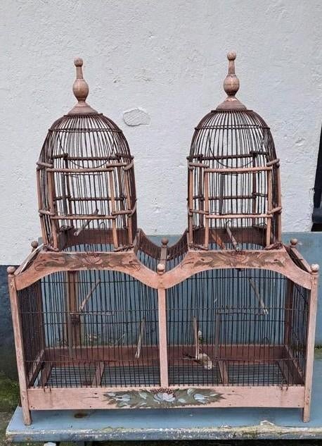 Victoriaanse vogelkooi, Ophalen