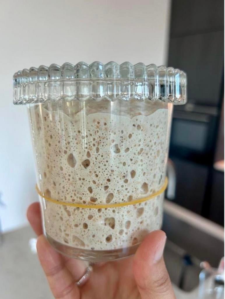 Bio zuurdesem startero, Ophalen of Verzenden