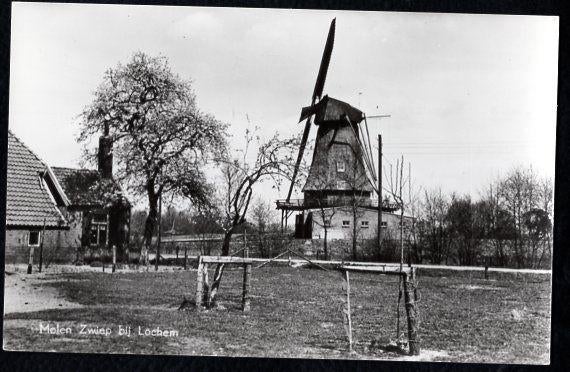 (GD513) Ansichtkrt Zwiep-Lochem Zwiepse Molen gladde rand, Ophalen of Verzenden, 1960 tot 1980, Ongelopen, Gelderland
