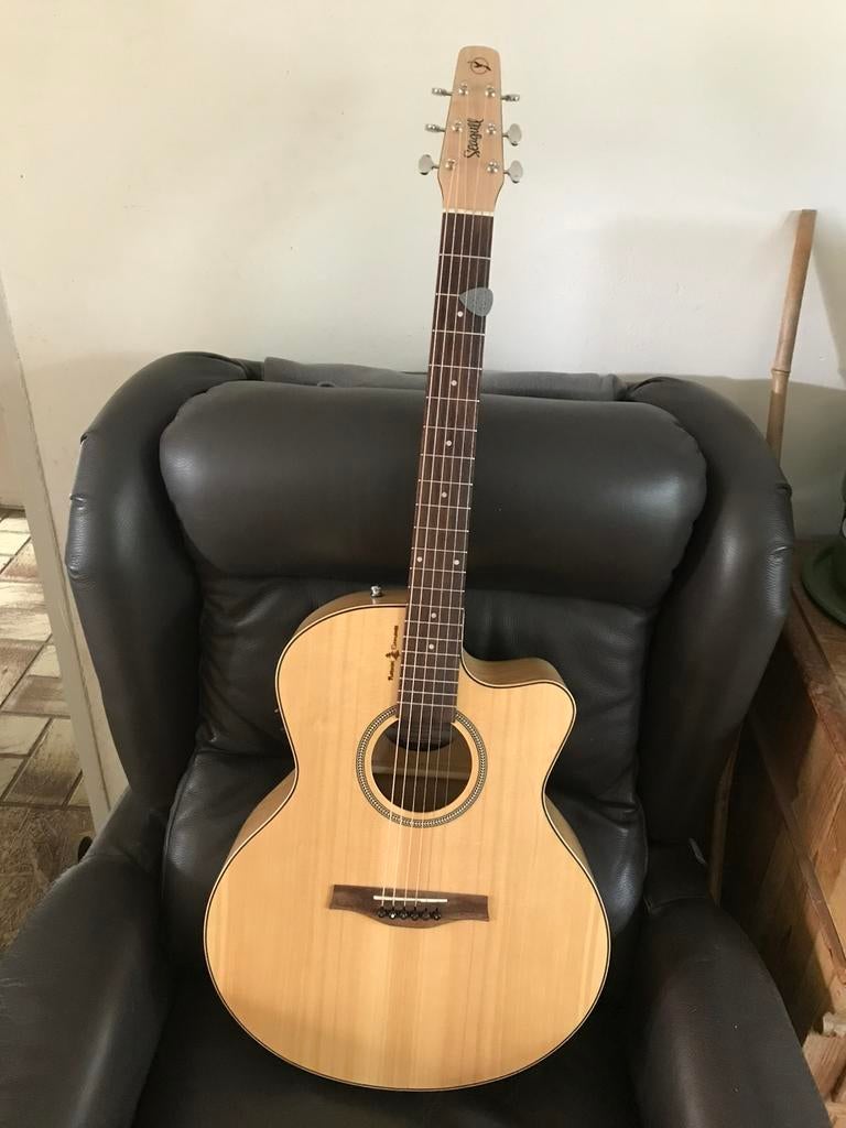 Seagull Natural Elements mini jumbo, Muziek en Instrumenten, Snaarinstrumenten | Gitaren | Akoestisch, Ophalen, Zo goed als nieuw