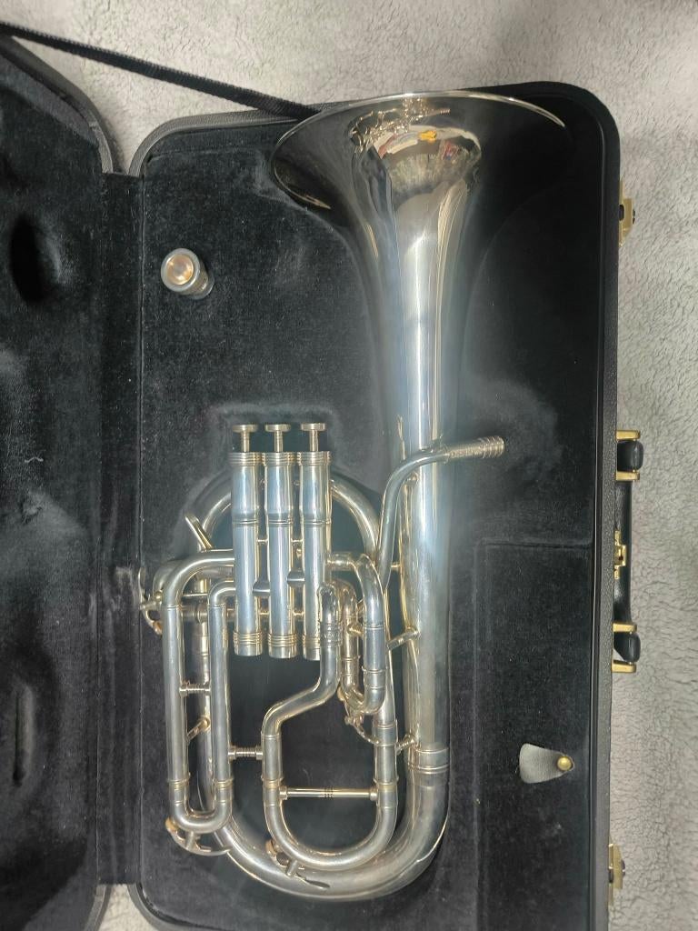 GENEVA Althorn, Ophalen, Zo goed als nieuw, Althoorn of Eshoorn, Met koffer