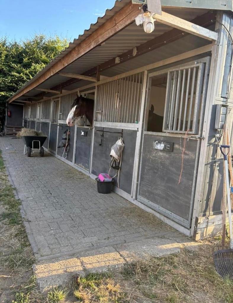 Unit van 5 ruime buiten stallen. Doe het zelf!, Stalling, 4 paarden of pony's of meer