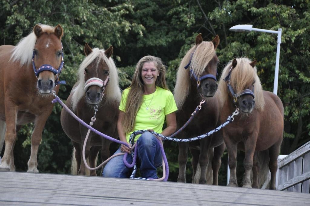 Kennis maken met onze schattige pony's, Ophalen of Verzenden