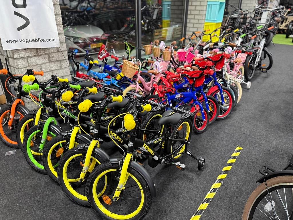 E-Bike, Transportfiets, kinderfiets, fatbike, bakfiets, Ophalen of Verzenden, Nieuw, Overige merken