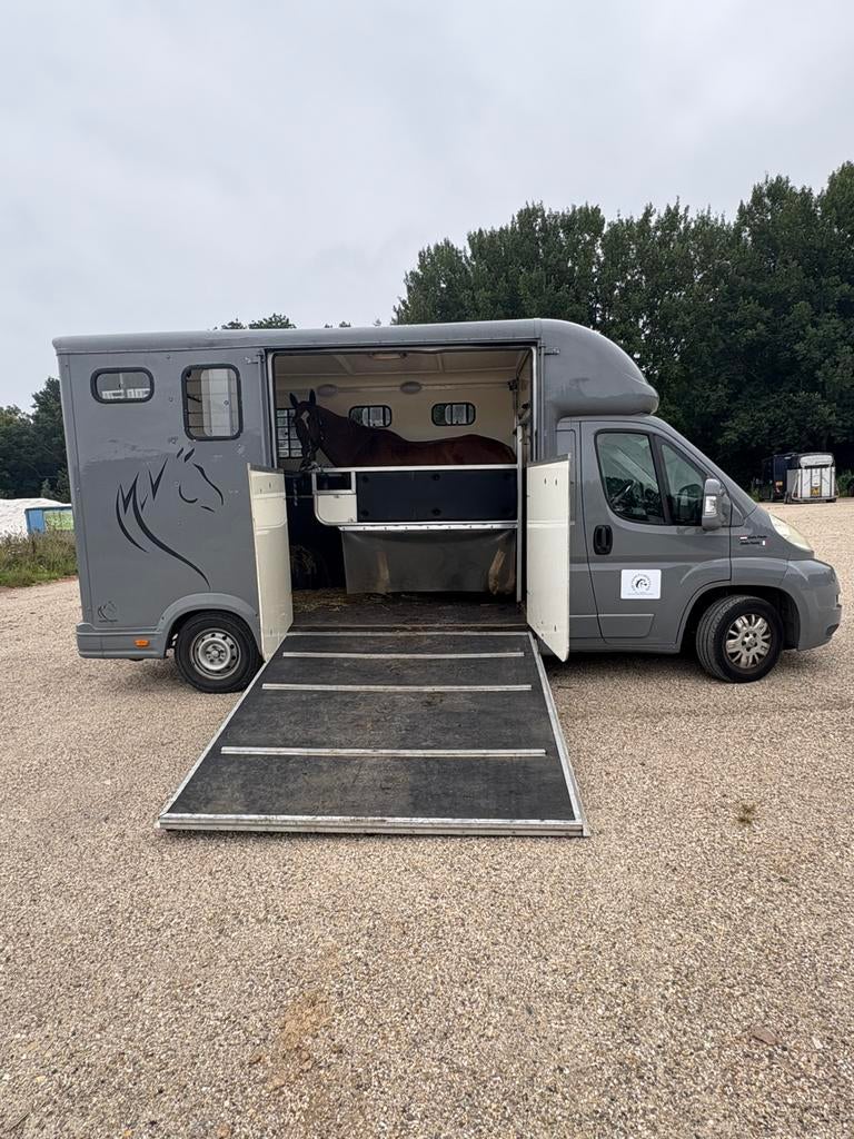 Verhuur paardenwagen Wassenaar -Zuid Holland, Diensten en Vakmensen, Dieren | Paarden | Verzorging, Oppas en Les