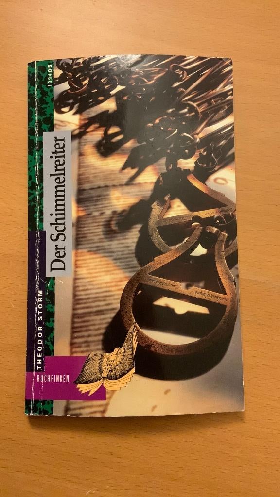 Der schimmelreiter - Theodor Storm, Ophalen of Verzenden