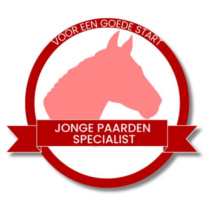 Privé stal Mijdrecht- waar paarden écht paard mogen zijn!, Dieren en Toebehoren, Stalling en Weidegang, Weidegang, 2 of 3 paarden of pony's
