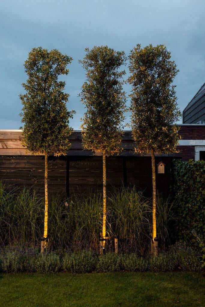 NIEUW tuinverlichting - 4x Delta Light grondspot, Tuin en Terras, Buitenverlichting, Kunststof, Minder dan 50 watt, Nieuw, Ophalen of Verzenden