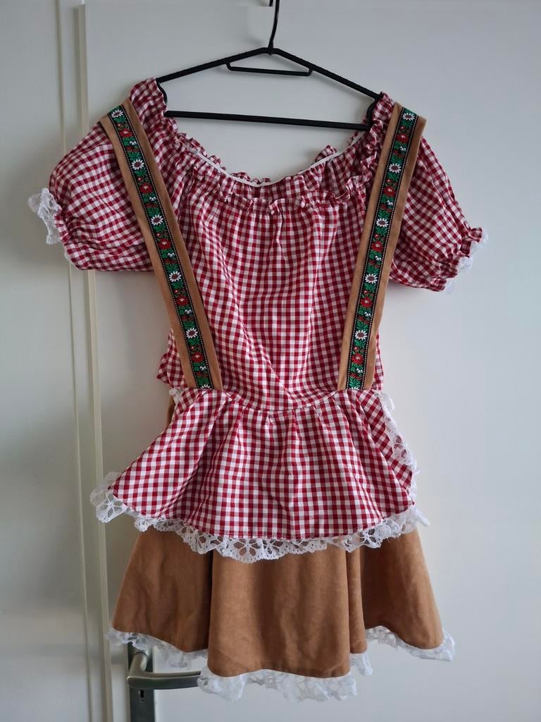 Tiroler jurk  Maat 38, Ophalen, Zo goed als nieuw, Maat 38/40 (M), Carnaval