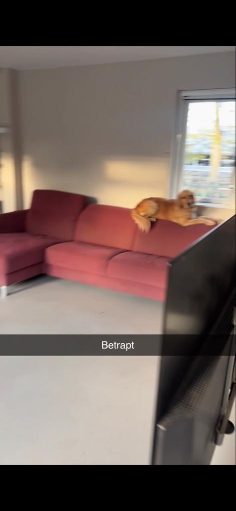 GRATIS rode bank, Huis en Inrichting, Banken | Bankstellen, Ophalen of Verzenden, Gebruikt, 75 tot 100 cm