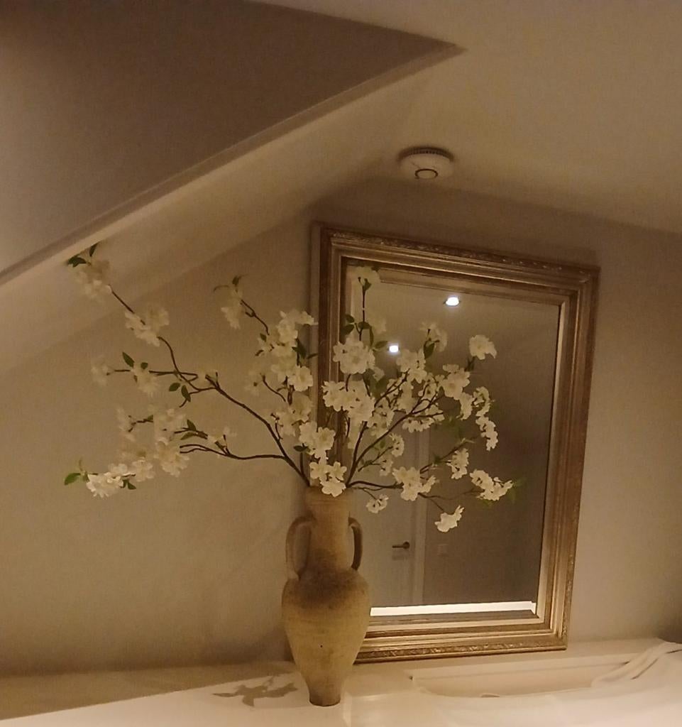 Prachtige spiegel 60 x 90, Huis en Inrichting, Woonaccessoires | Spiegels, Ophalen, Zo goed als nieuw, Minder dan 100 cm, Rechthoekig