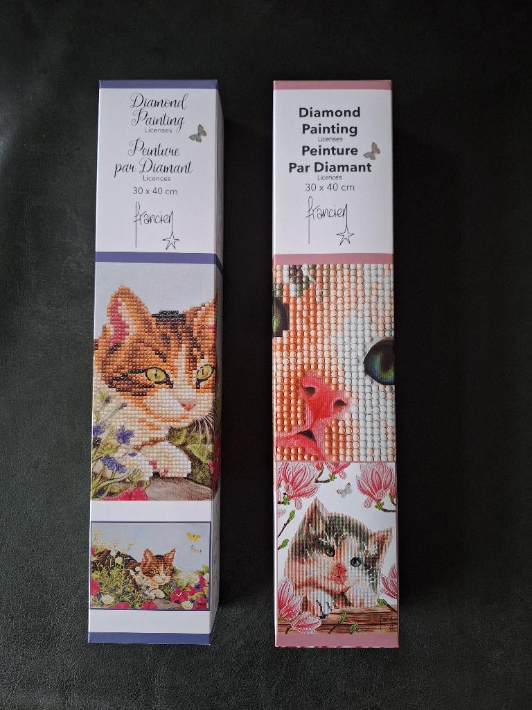 Franciens katten Diamond painting 30x40cm, Ophalen of Verzenden, Nieuw, Knutselwerk