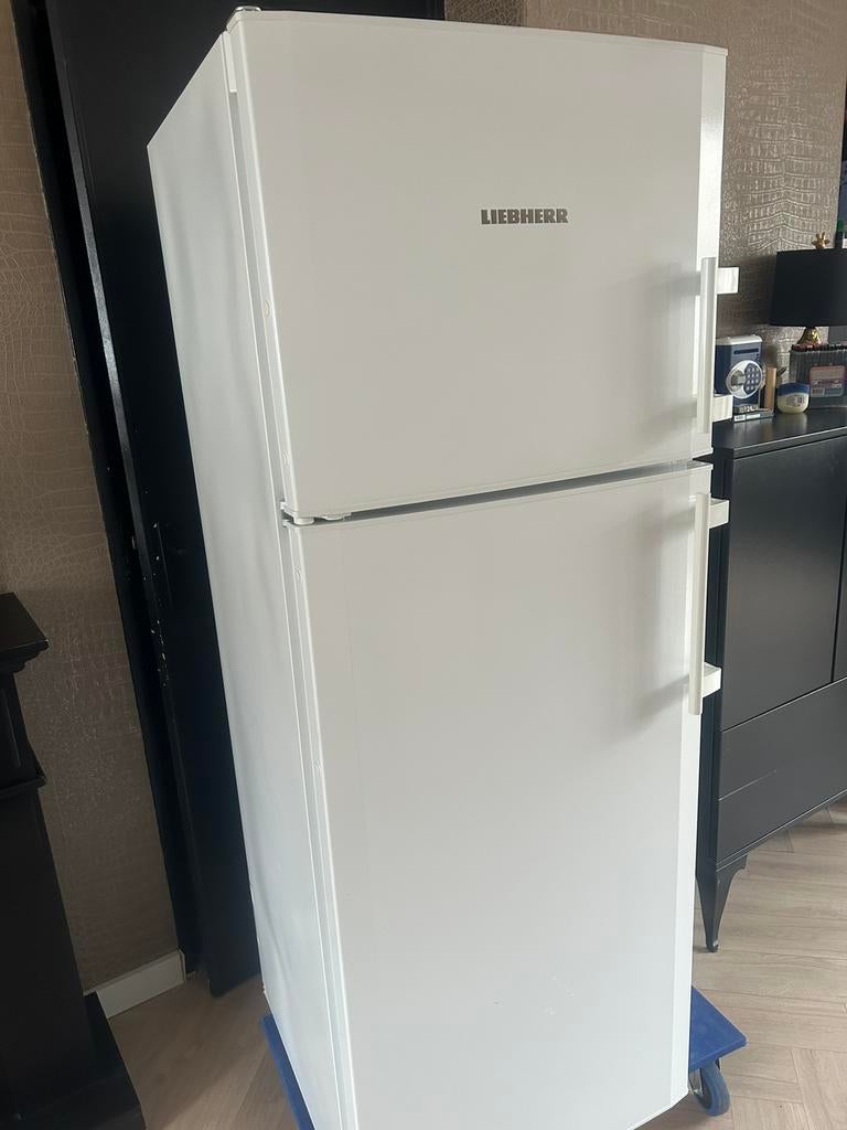 Zgn liebherr koelvriescombinatie, Ophalen, 200 liter of meer, 60 cm of meer, Met aparte vriezer