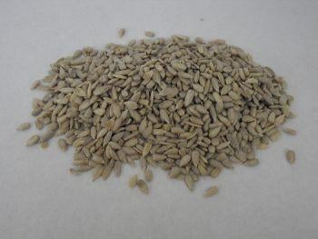 25kg gepelde zonnepitten voor de buitenvogels alleen afhalen, Dieren en Toebehoren, Ophalen, Nieuw, Nvt, Eten en Drinken