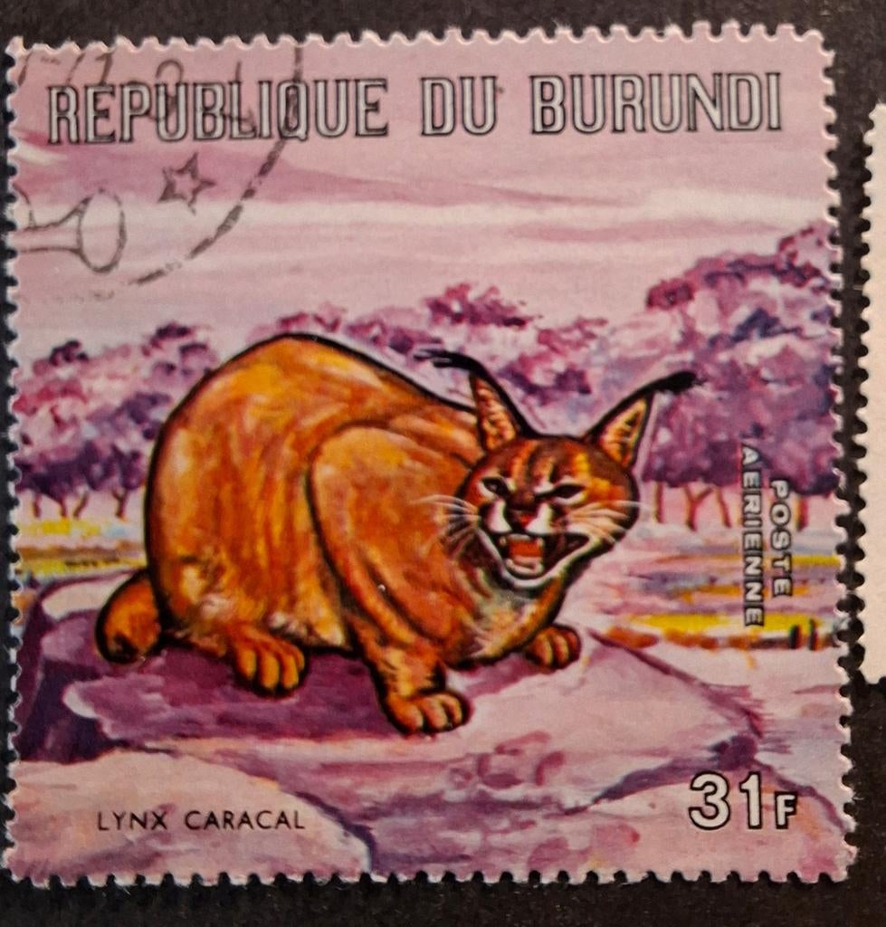 Burundi lynx, Ophalen of Verzenden, Overige thema's