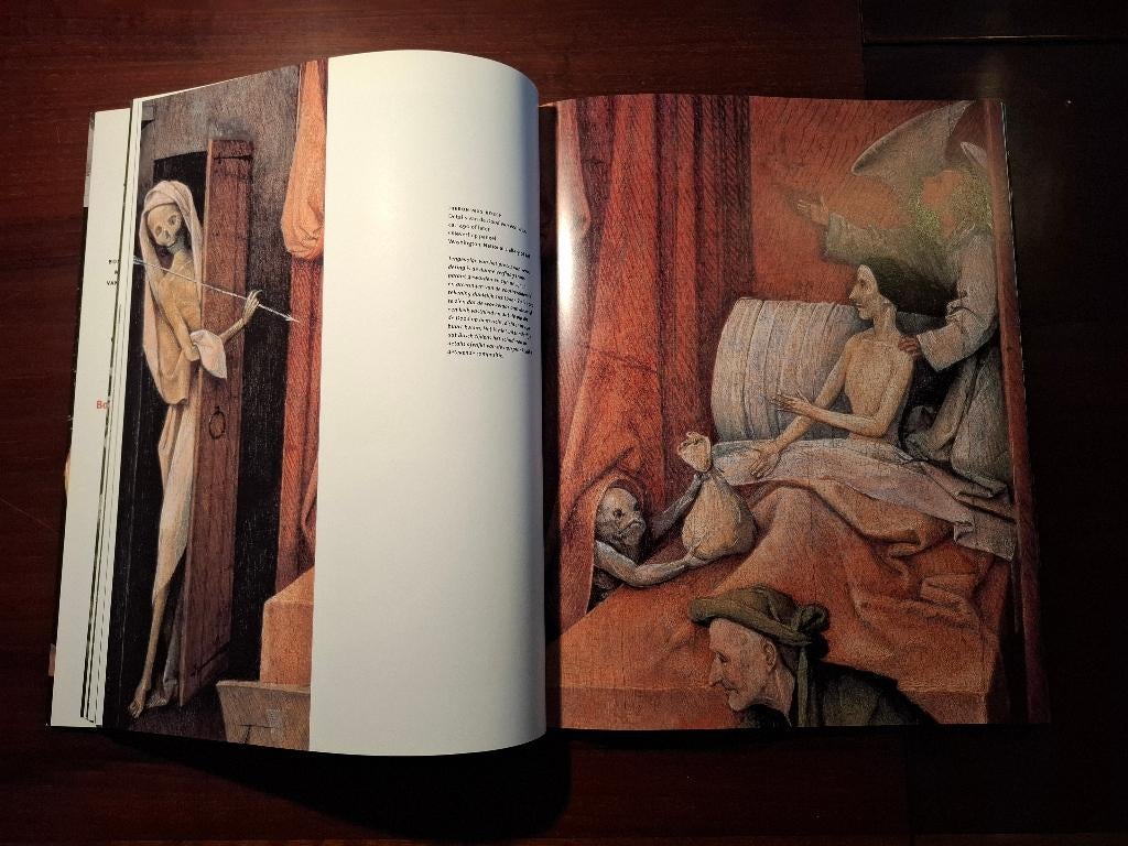 Kunstboek - Jheronimus Bosch (2001), Boeken, Gelezen, Diverse auteurs, Ophalen of Verzenden, Schilder- en Tekenkunst