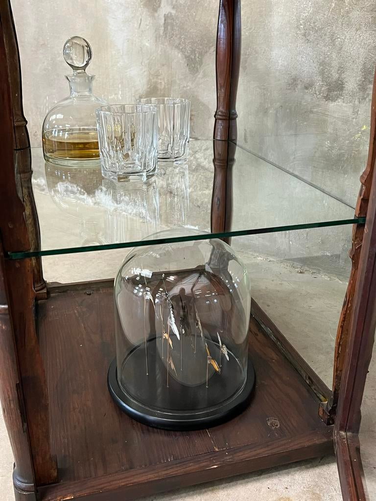 Toonbank vitrine, uniek, Ophalen