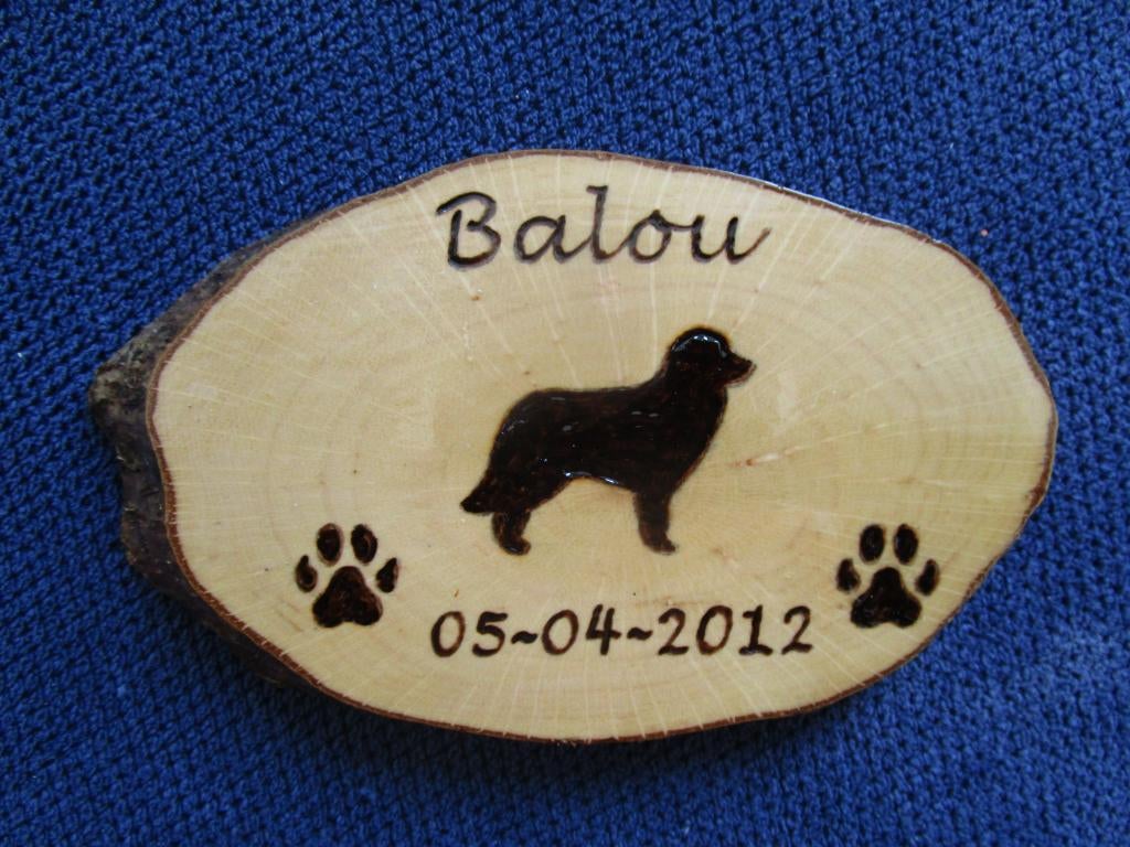 (huisdier) overig aandenken Pyrografie Creamar afscheid, Beige, Hout, Ophalen of Verzenden, Handgemaakt