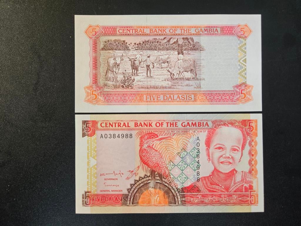 Gambia pick 16a 1996 UNC, Postzegels en Munten, Bankbiljetten | Afrika, Ophalen of Verzenden, Overige landen, Los biljet