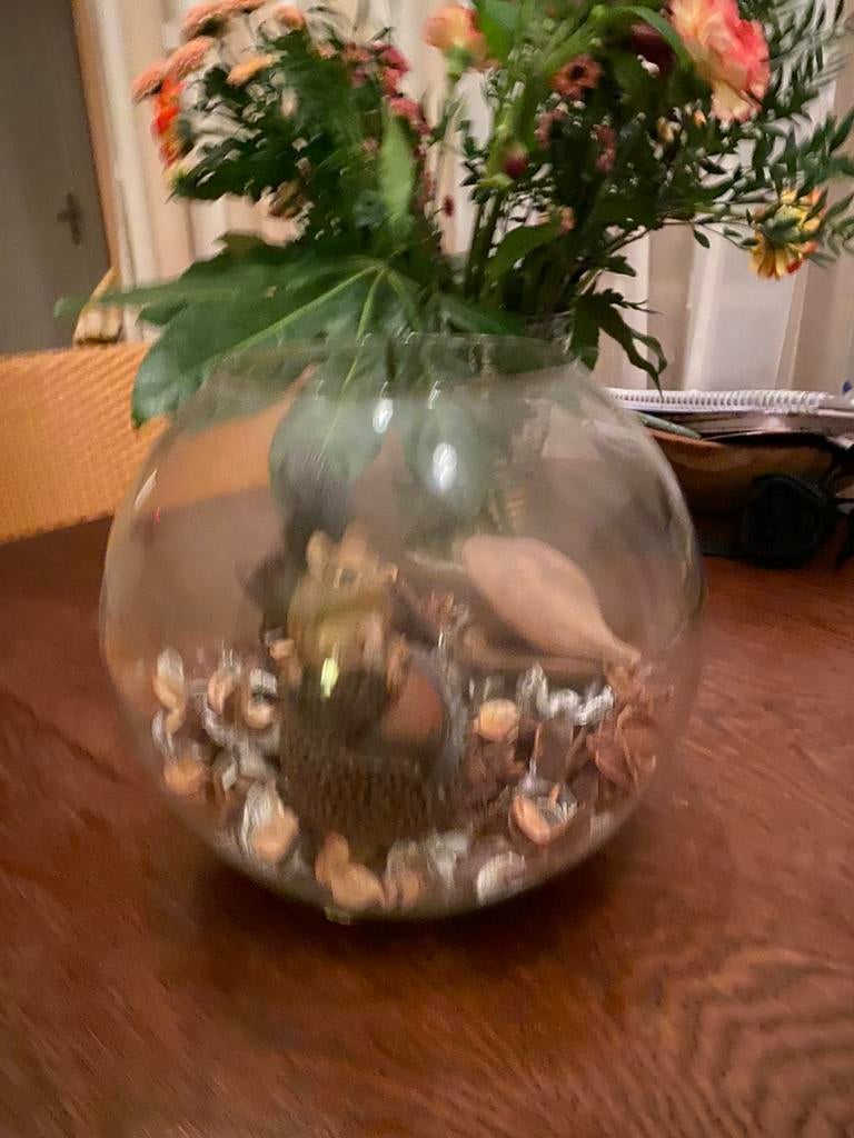 Glazen vaas /stolp, Ophalen, Zo goed als nieuw