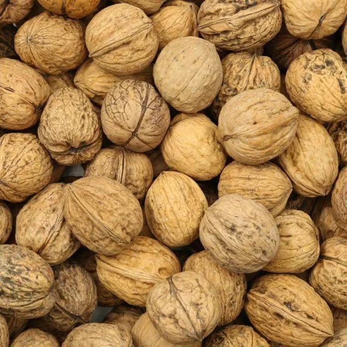 Zeeuwse walnoten, Diversen, Levensmiddelen, Ophalen of Verzenden